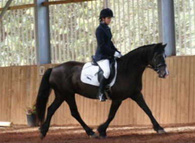 Riding a horse in bright equine building with ventilated wall cladding